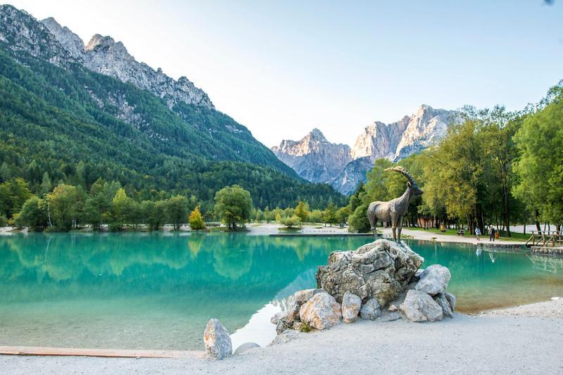 Bor In Bor Luxury Apartment With Sauna & Garden - Kranjska Gora Exterior foto